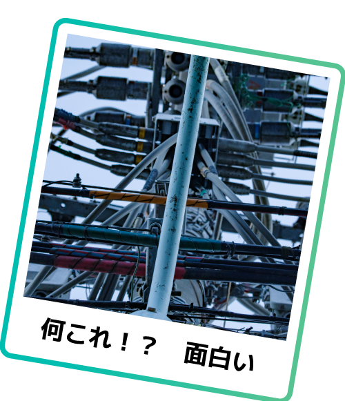 何これ！？面白い。