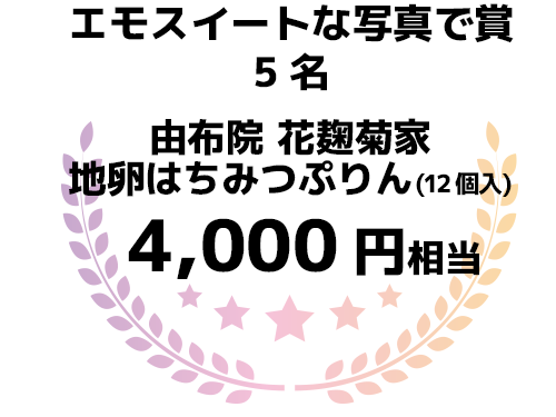 エモスイートな写真で賞5名 由布院 花麹菊家・地卵はちみつぷりん(12個入) 4,000円分相当